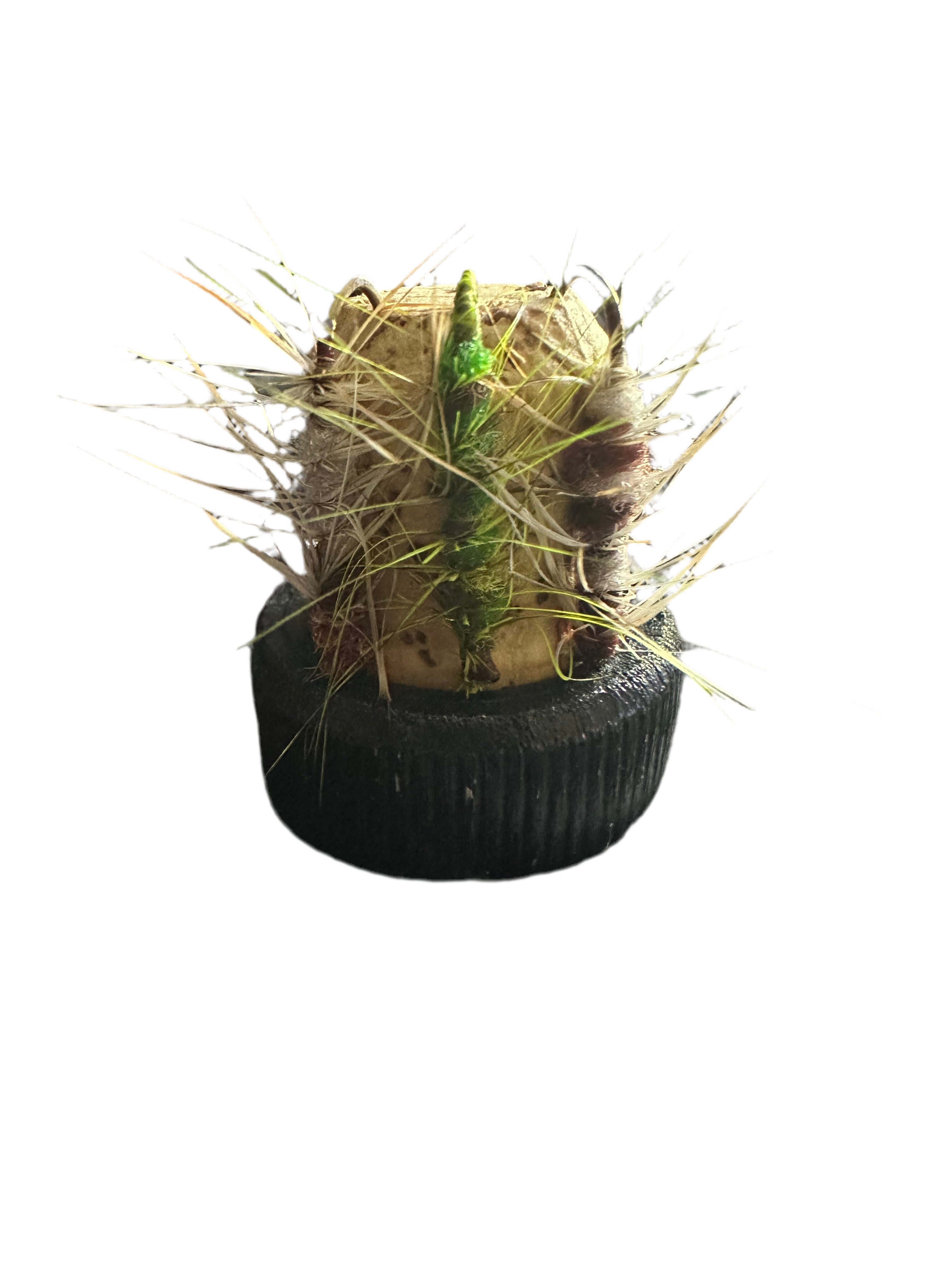 Julens mystery box! kommer 12 december